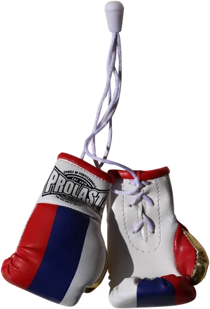 Hanging Boxing Gloves Provast PNG image