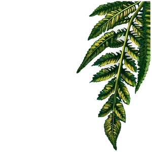 Hanging Fern Leaf Decoration Png 06282024 PNG image