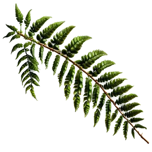 Hanging Fern Leaf Decoration Png 18 PNG image