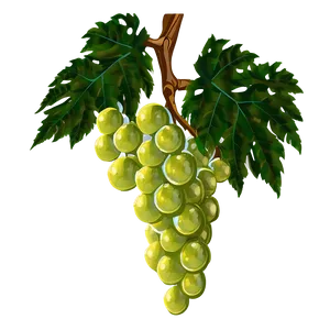 Hanging Grape Vine PNG Ydb68 PNG