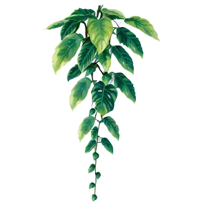 Hanging Green Leafy Vine PNG image