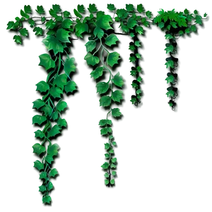 Hanging Green Vines PNG image