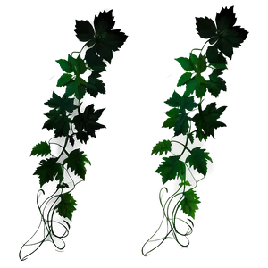 Hanging Green Vines PNG image