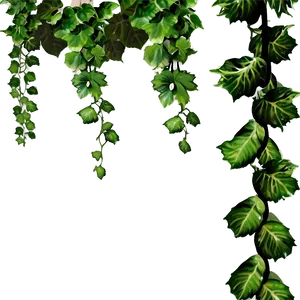 Hanging Green Vines PNG image