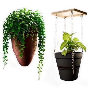 Hanging Indoor Plants Png 06252024 PNG image