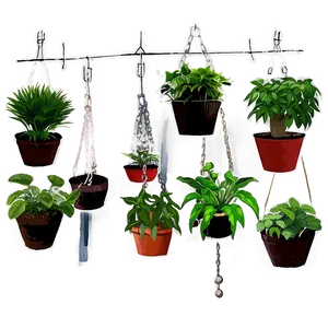 Hanging Indoor Plants Png Ism PNG image