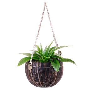Hanging Indoor Plants PNG Pki53 PNG