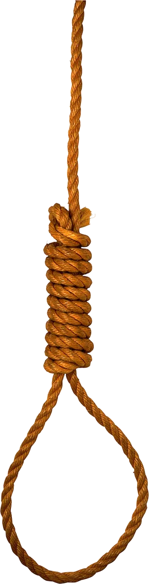 Hanging Noose Rope Loop PNG image