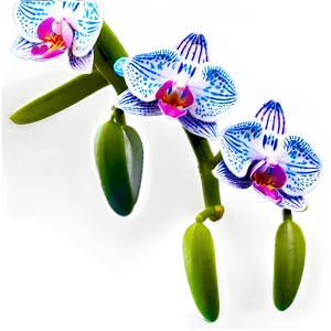 Hanging Orchid PNG 05242024