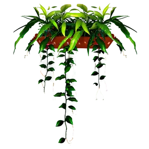 Hanging Plant Arrangement PNG 05252024