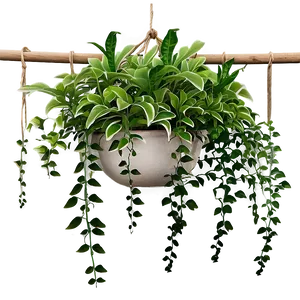 Hanging Plant Patio Png 05252024 PNG image