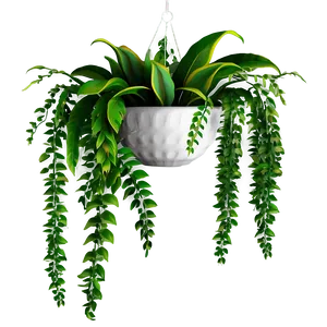 Hanging Plant Png 38 PNG image