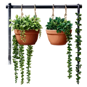 Hanging Plant Terrace PNG Vxg24 PNG