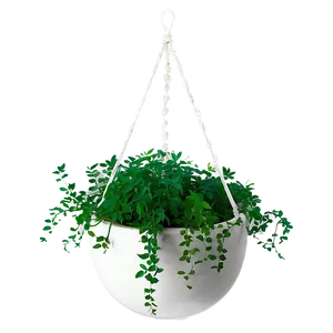 Hanging Plant Window Png Nff51 PNG image