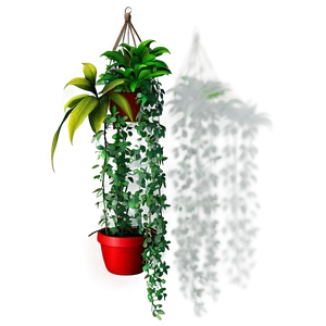 Hanging Plants PNG 78