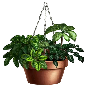 Hanging Potted Plants Images Png 10 PNG image