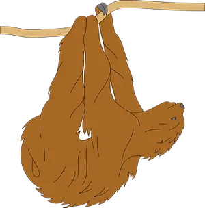 Hanging Sloth Cartoon