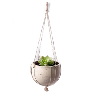 Hanging Succulent Baskets Png 31 PNG image