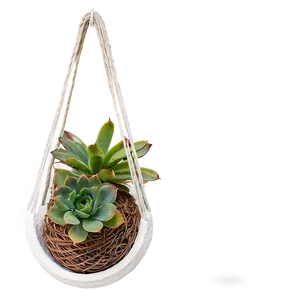 Hanging Succulent Baskets Png Djd82 PNG image