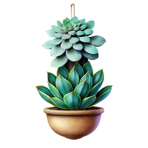 Hanging Succulent Png 05242024 PNG image