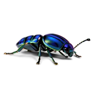 Happy Bug Png Hyo58 PNG image