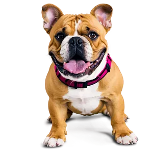 Happy Bulldogs Smiling Png 06252024 PNG image