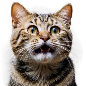 Happy Cat Meme PNG 05212024
