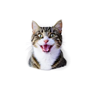 Happy Cat PNG 05232024 PNG