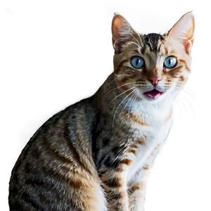 Happy Cat PNG Ebw40 PNG