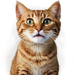 Happy Cat Png Kks PNG image