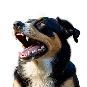 Happy Dog Barking Png 06272024 PNG image