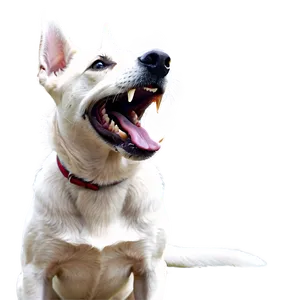 Happy Dog Barking Png 06272024 PNG image