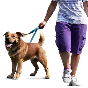 Happy Dog Walking Png 41 PNG image