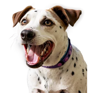 Happy Dogs PNG 05242024