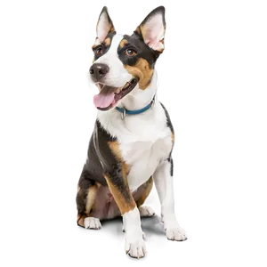 Happy Dogs PNG Gkx