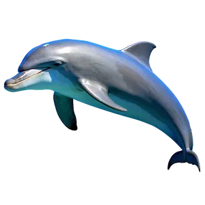 Happy Dolphin Png 10 PNG image