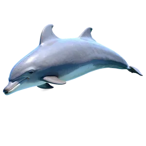 Happy Dolphin Png Iam78 PNG image