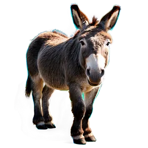 Happy Donkey Clipart PNG Byl