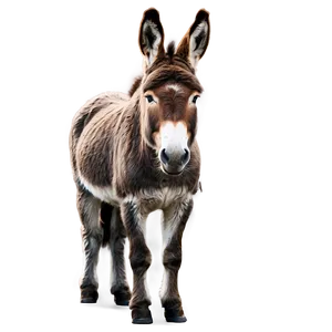 Happy Donkey Clipart PNG Kik51