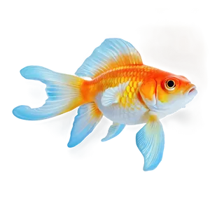 Happy Goldfish PNG 40