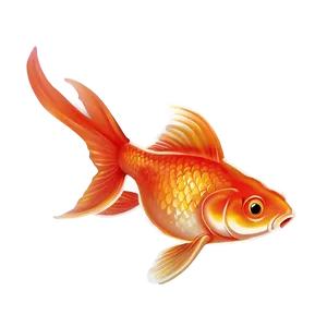 Happy Goldfish PNG Ijr57