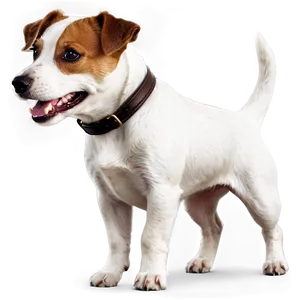 Happy Jack Russell Dog PNG Xsy PNG