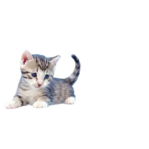 Happy Kitten Graphic PNG 06242024 PNG