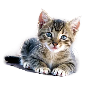 Happy Kitten Graphic Png 30 PNG image