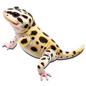 Happy Leopard Gecko PNG Rdh