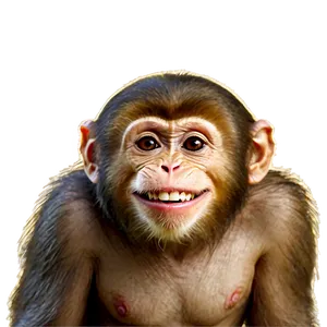 Happy Monkey Face Illustration Png 06272024 PNG image