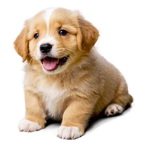 Happy Puppy PNG 05062024