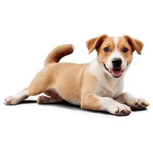 Happy Puppy PNG Kha