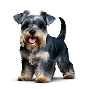 Happy Schnauzer Tail Wag Png 77 PNG image