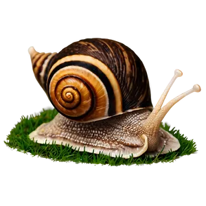 Happy Snail Png Tev36 PNG image
